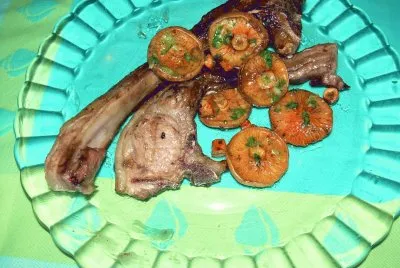 Aliments