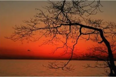 evening