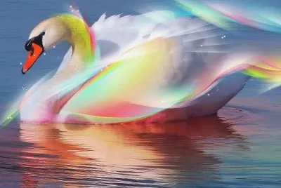 cisne