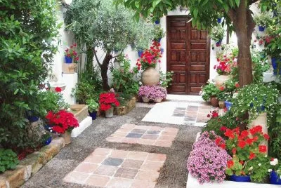 Patio Andaluz 2
