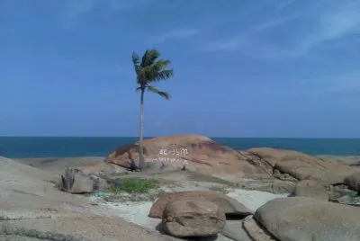 Ilha do coqueiro solitÃ¡rio - PE jigsaw puzzle