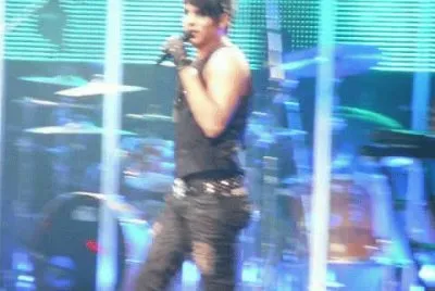 adam lambert jigsaw puzzle