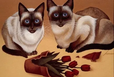 Gatos jigsaw puzzle