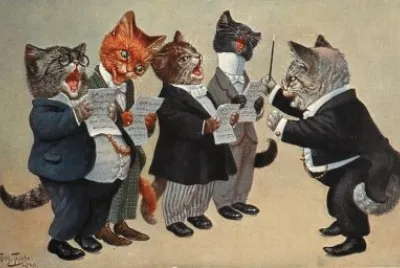Gatos jigsaw puzzle
