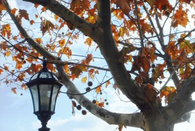 otoÃ±o
