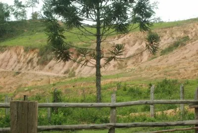 פאזל של Fazenda Potreiro