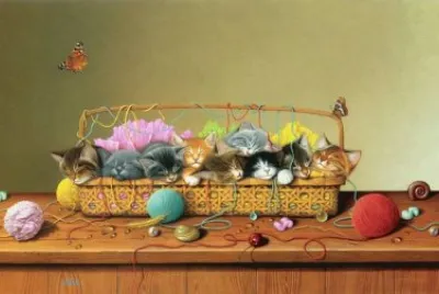 Gatos
