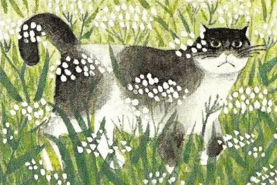Gatos