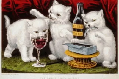 Gatos jigsaw puzzle