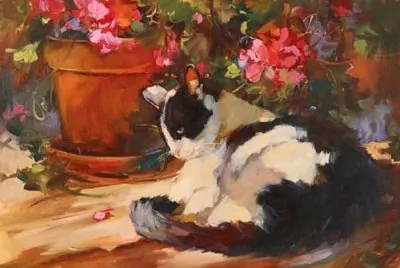 Gatos