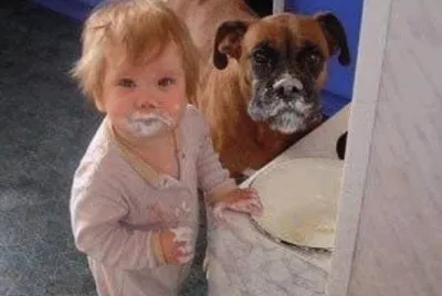 baby   dog