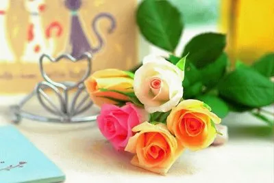 bouquet