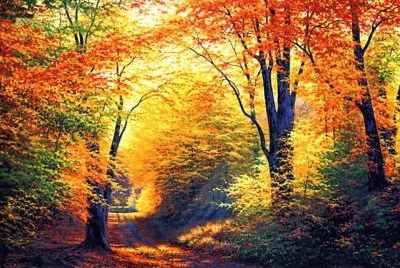 פאזל של Entardecer lindo