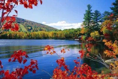 פאזל של calmaria