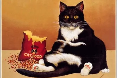 Gatos jigsaw puzzle