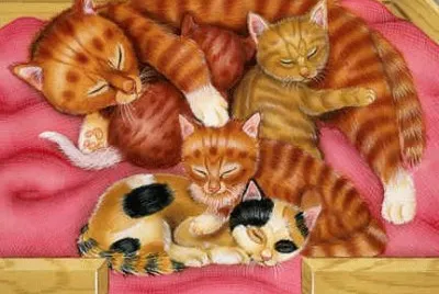 Gatos