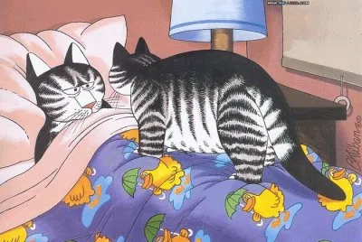 Gatos