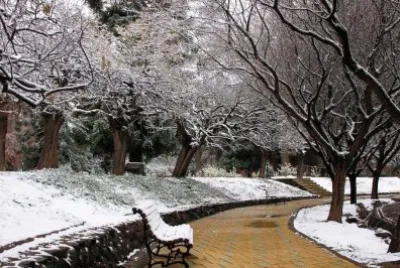 winter 11 jigsaw puzzle