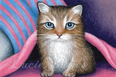 Gatos