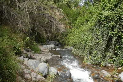 Camino a Salto de Apoquindo