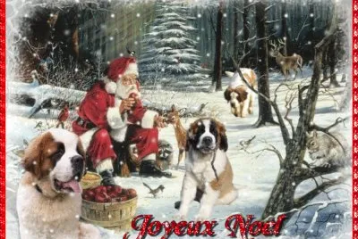 Pare NoÃ«l