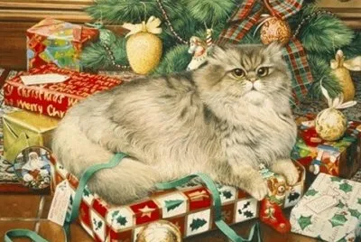 Gatos