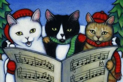 Gatos