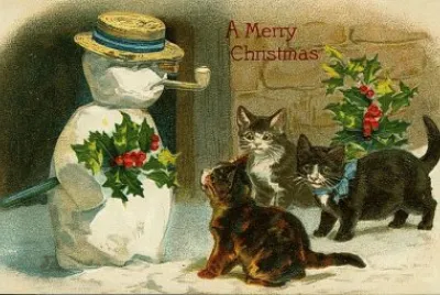 Gatos
