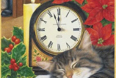 Gatos