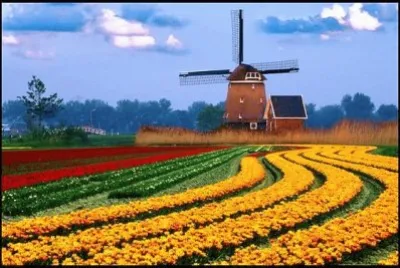 spring 13 jigsaw puzzle