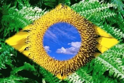 פאזל של Brasil !