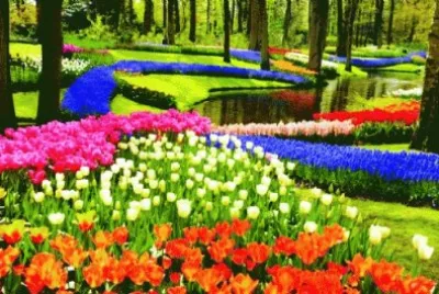 flowery