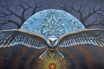 Owl