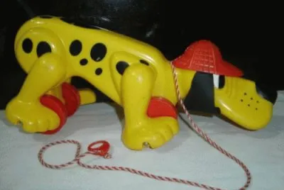 cachorro