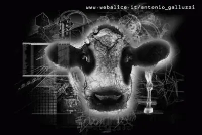 Modern Cow
