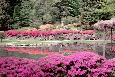 Japanese Garden