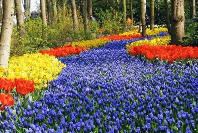 passagem de flores