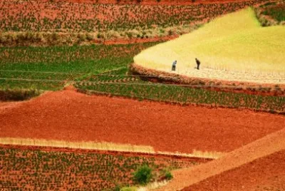 tierras rojas jigsaw puzzle