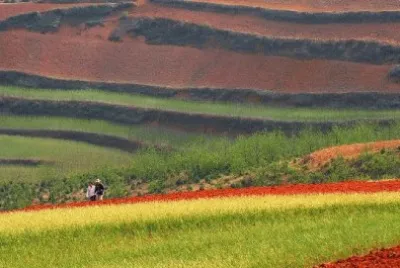 tierras de colores jigsaw puzzle