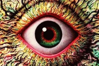 פאזל של Olhar Noturno