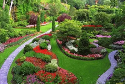 Beautiful Garden