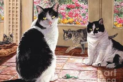 Gatos jigsaw puzzle