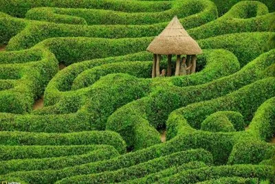 laberinto verde jigsaw puzzle