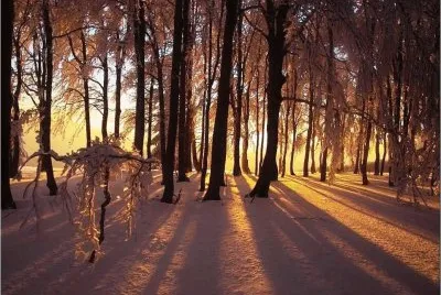 winter 16 jigsaw puzzle