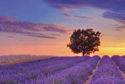 Paesaggio al tramonto jigsaw puzzle