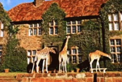 31 jigsaw puzzle