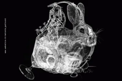 Rabbit 1.0 - 800 x 531 pixel