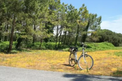 VÃ©lo jigsaw puzzle