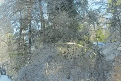Ice Storm 2013 jigsaw puzzle