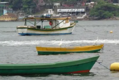 GarÃ§as